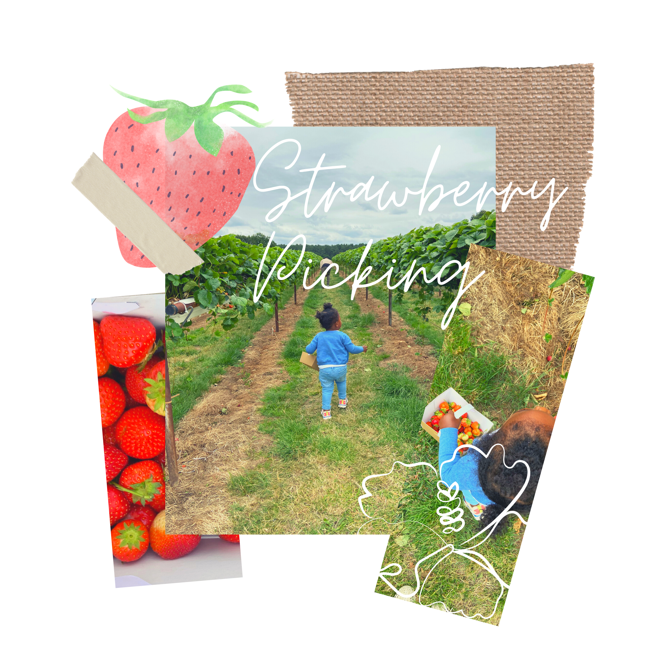 Strawberry Picking.PNG